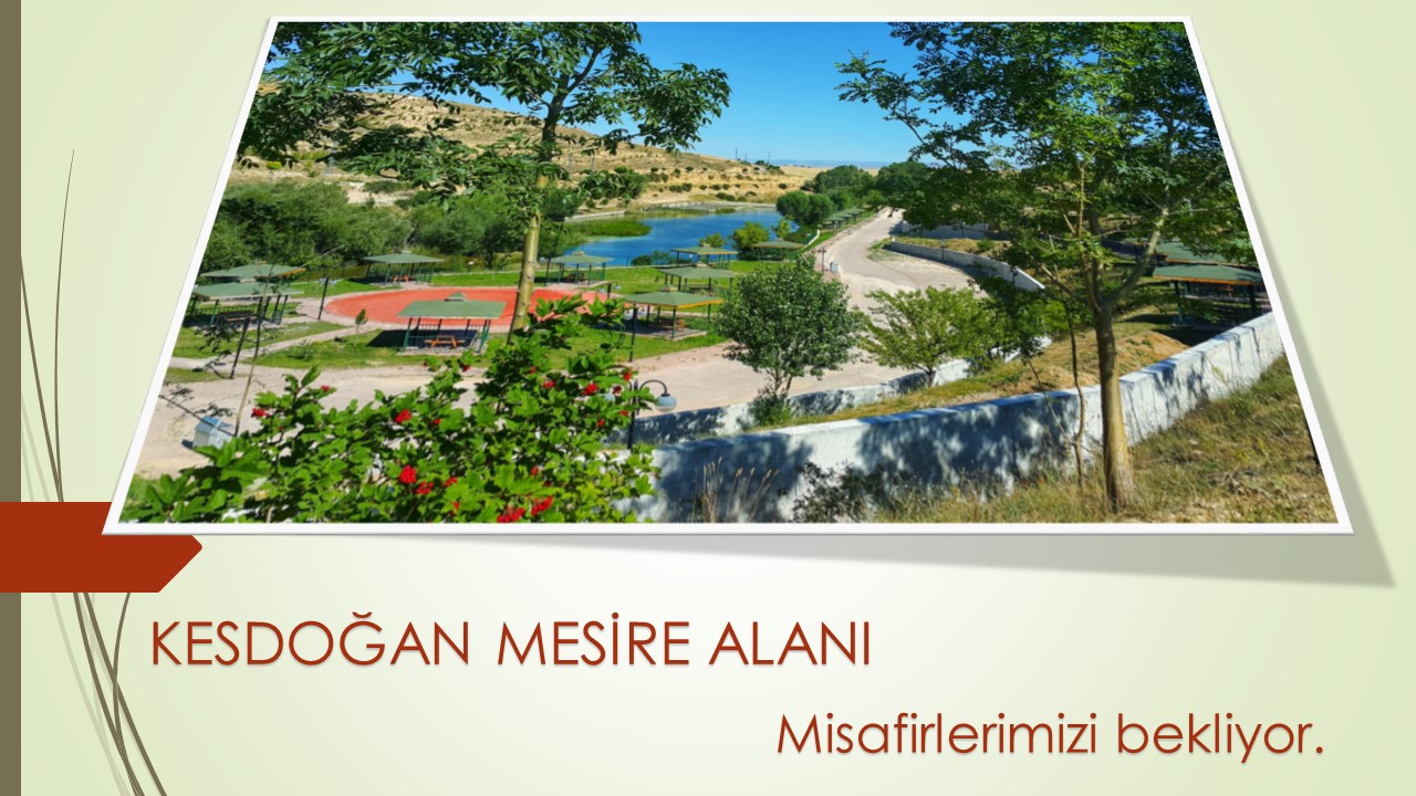Kesdoğan