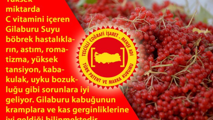 Hayırlı Haftalar